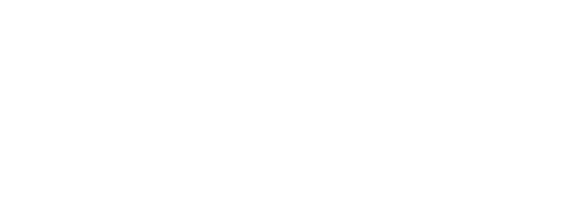 JoyRide Logistics